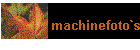 machinefoto`s